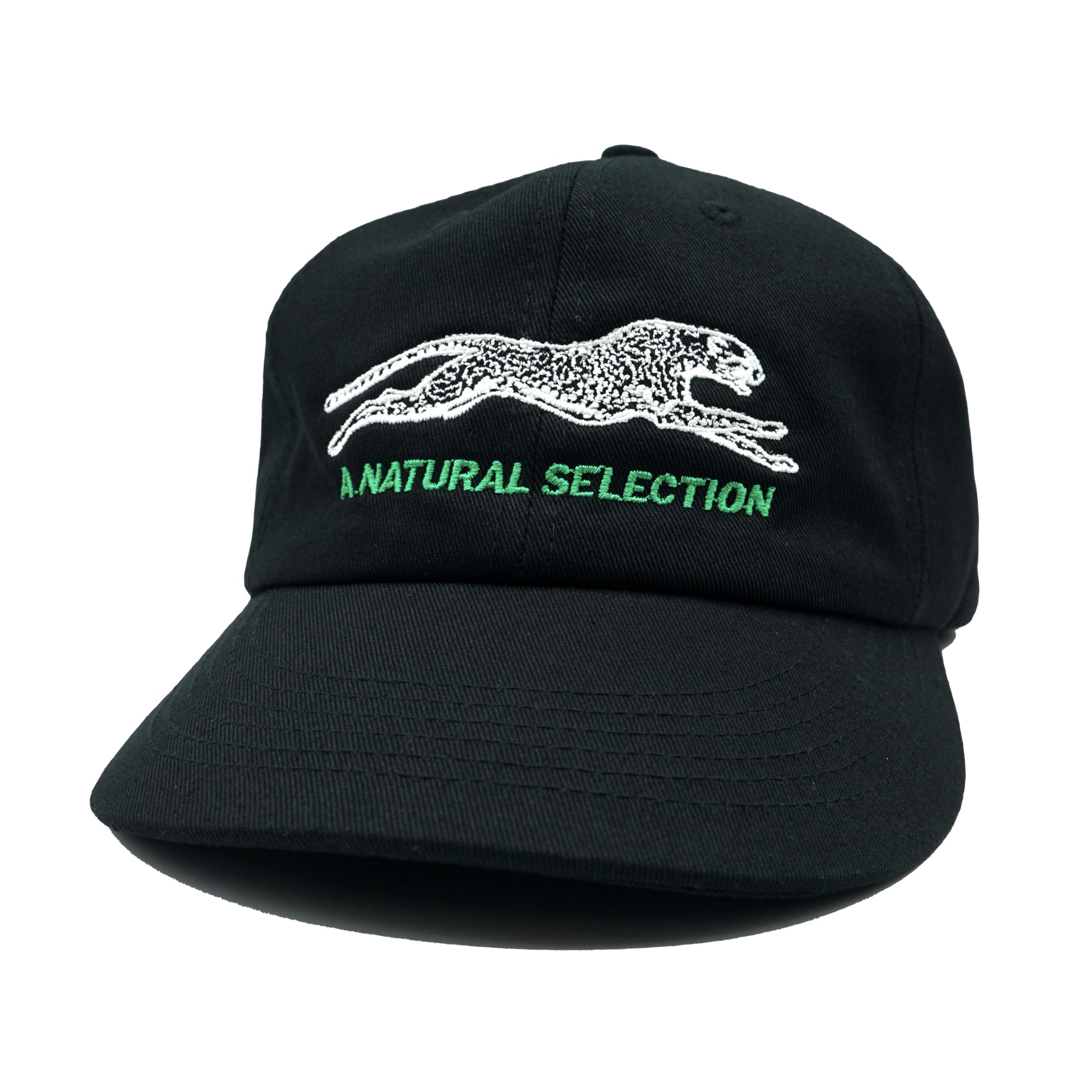 Brother Brother Natural Selection 2-Tone Cap