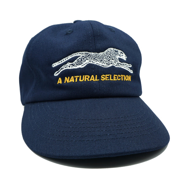 Brother Brother Natural Selection 2-Tone Cap