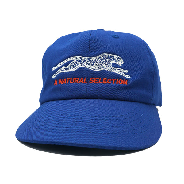 Brother Brother Natural Selection 2-Tone Cap