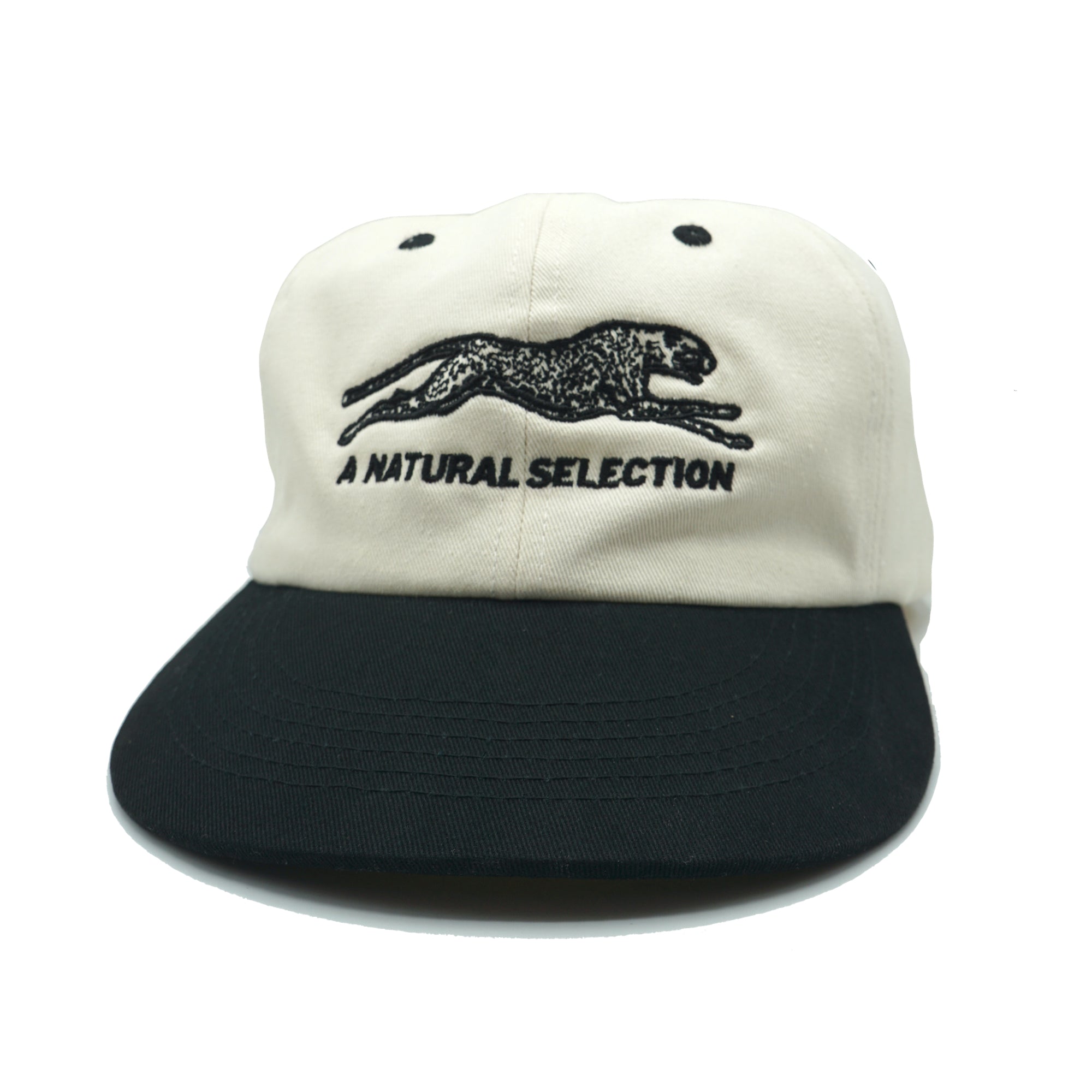 Brother Brother Natural Selection Contrast Cap