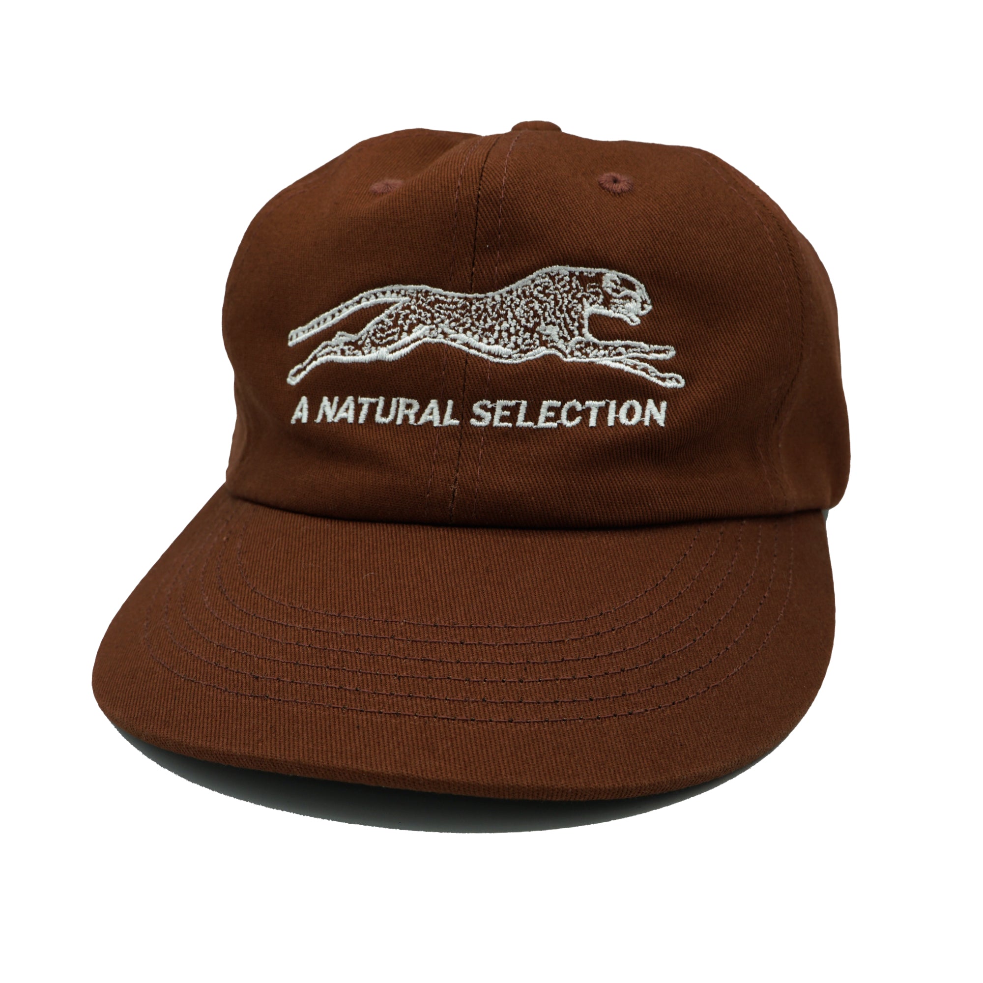 Brother Brother Natural Selection Cap