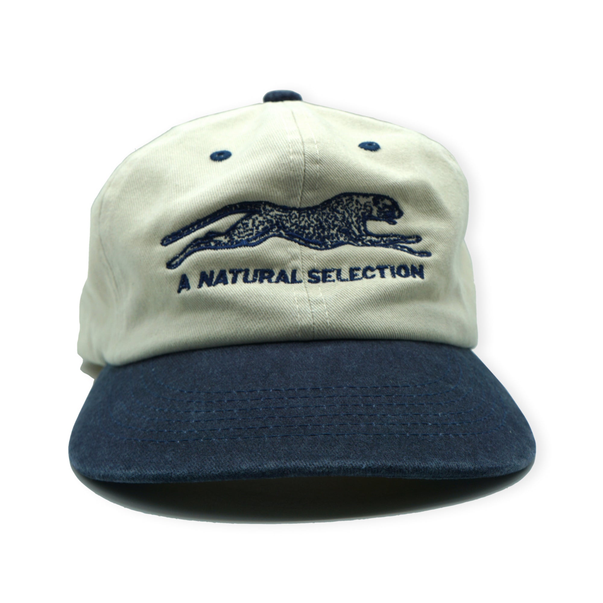 Brother Brother Natural Selection Contrast Cap