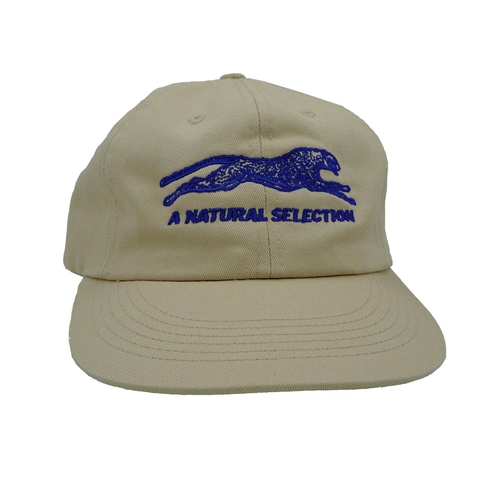 Brother Brother Natural Selection Cap