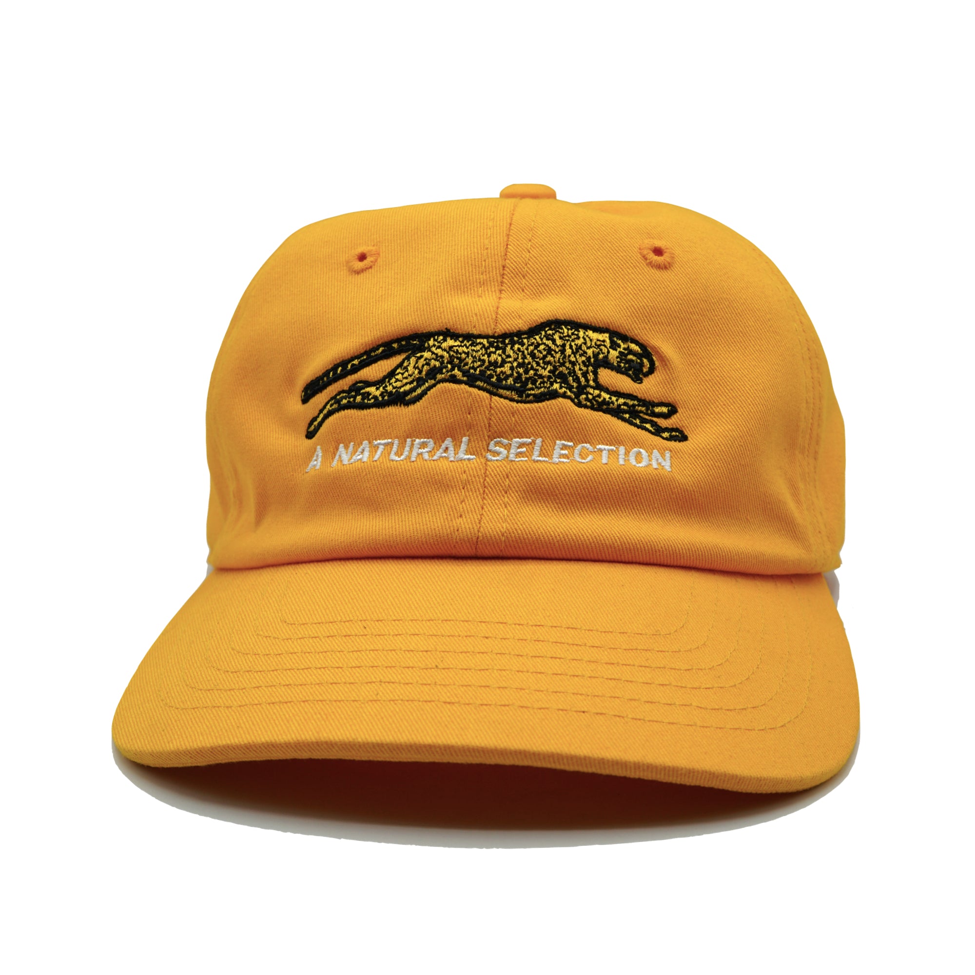 Brother Brother Technicolor Selection Cap