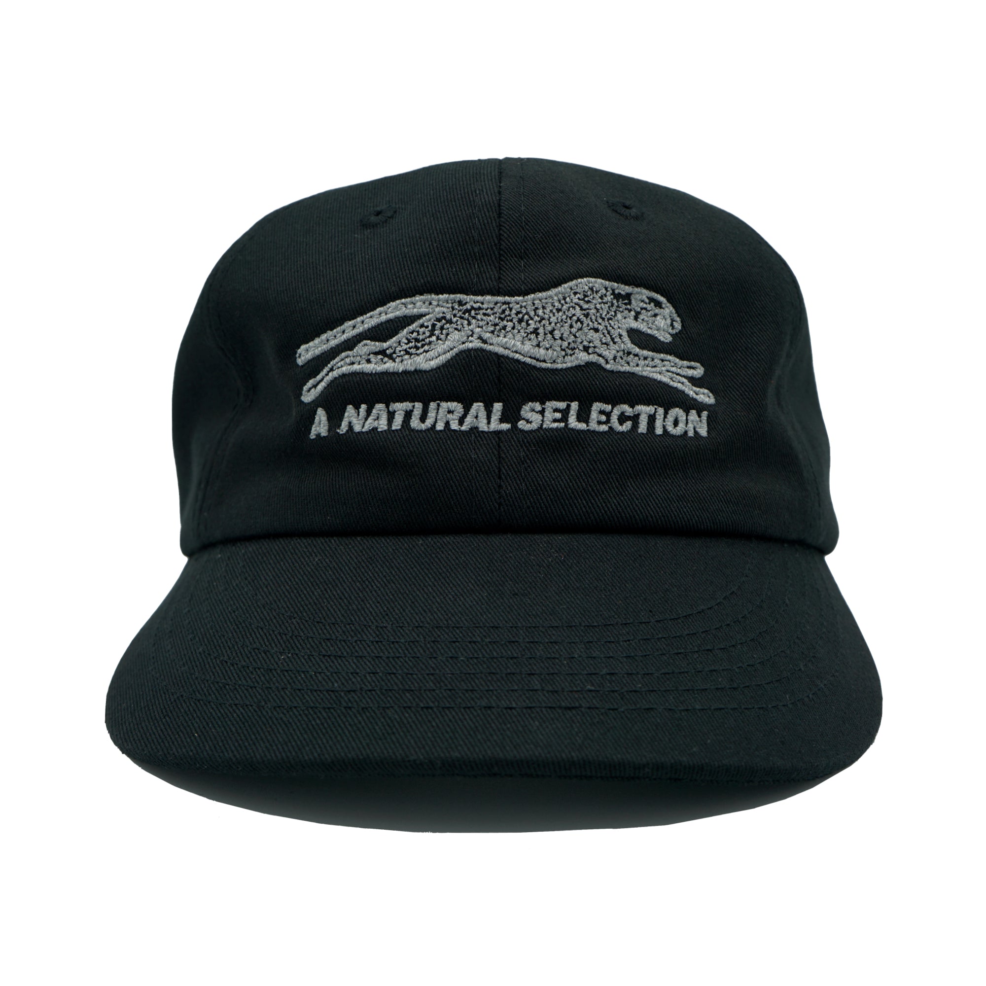 Brother Brother Natural (R)e(f)lection Cap