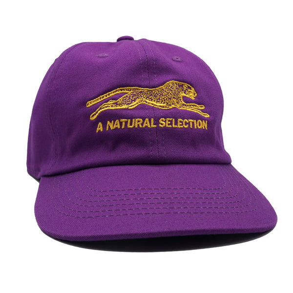 Brother Brother Natural Selection Cap Grape/Gold