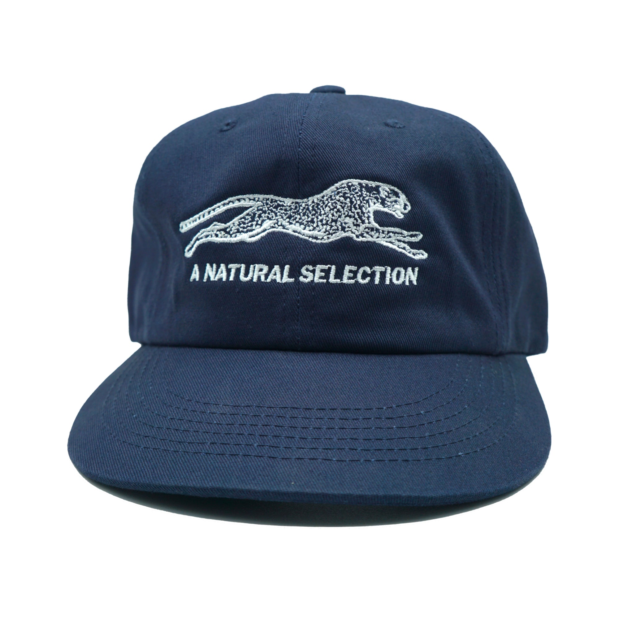 Brother Brother Natural Selection Cap