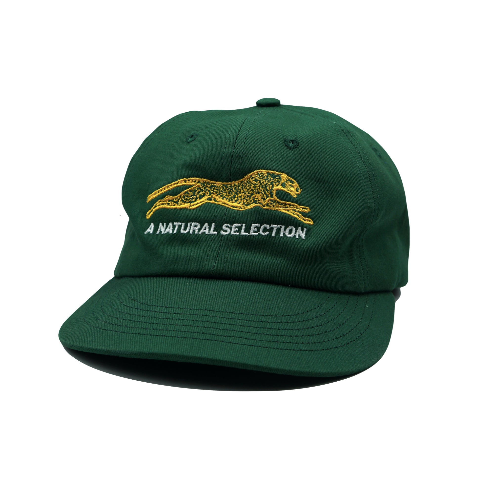 Brother Brother Natural Selection Cap 2-Tone