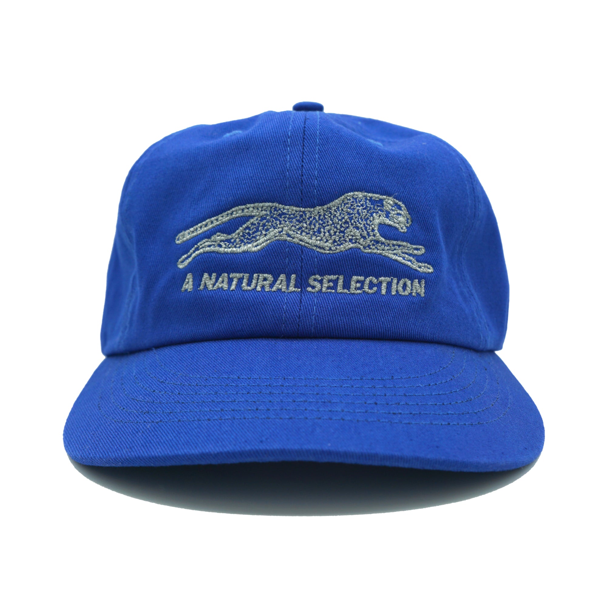 Brother Brother Natural (R)e(f)lection Cap