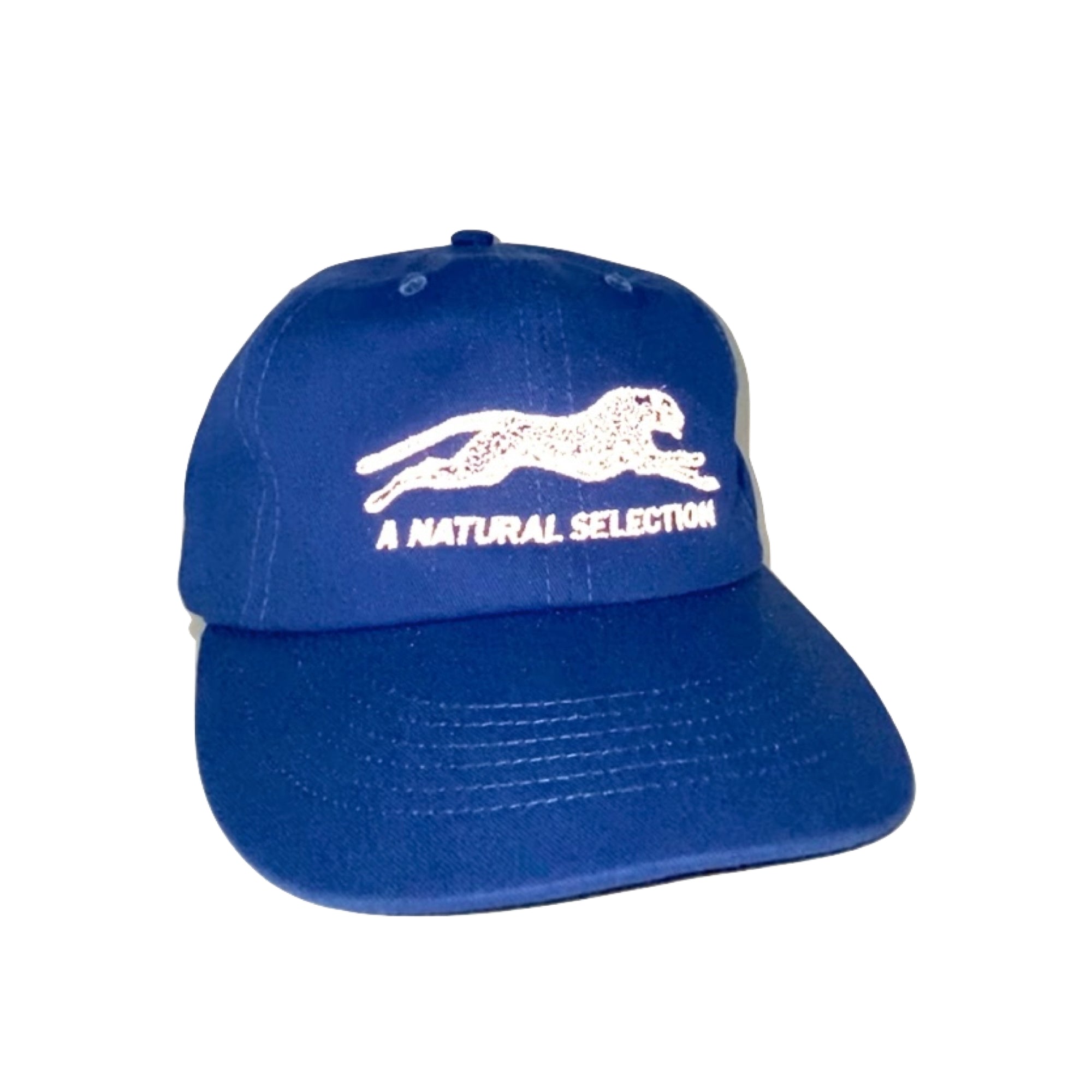 Brother Brother Natural (R)e(f)lection Cap