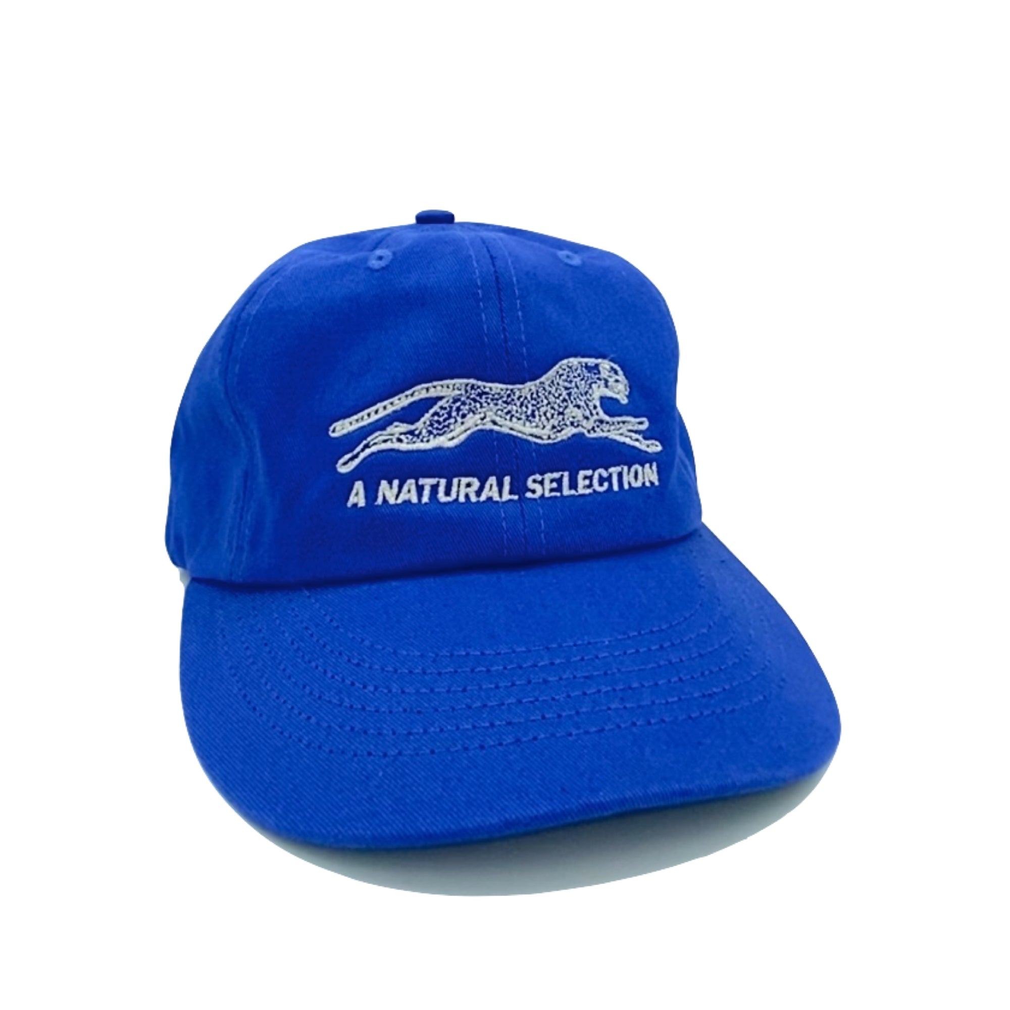 Brother Brother Natural (R)e(f)lection Cap