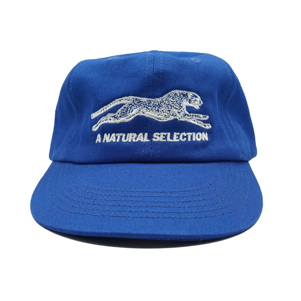 Brother Brother Natural Selection Cap